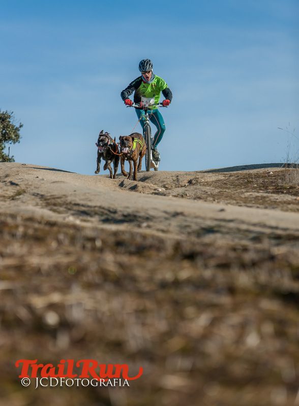 Campeonato de España de Mushing 2017