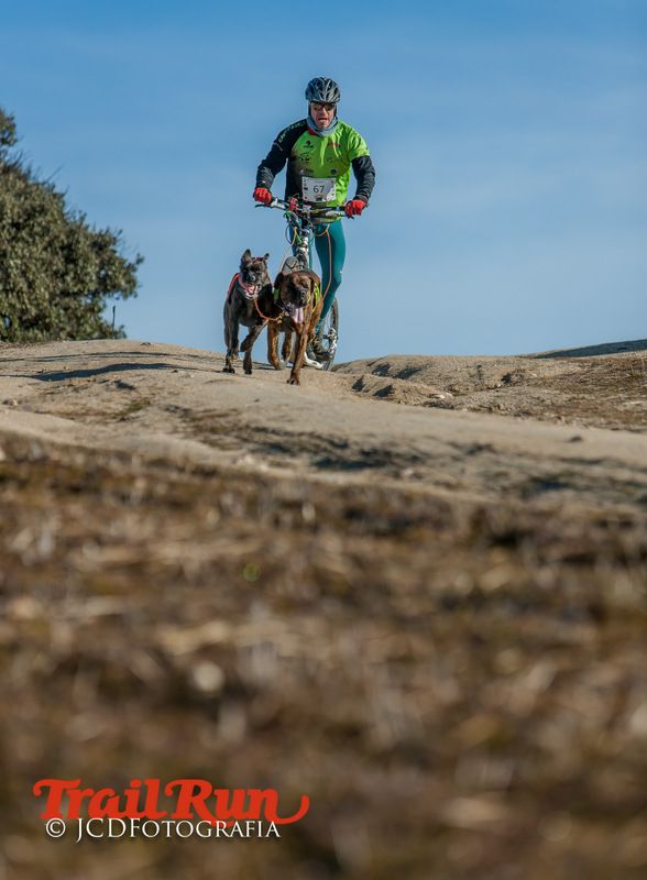 Campeonato de España de Mushing 2017