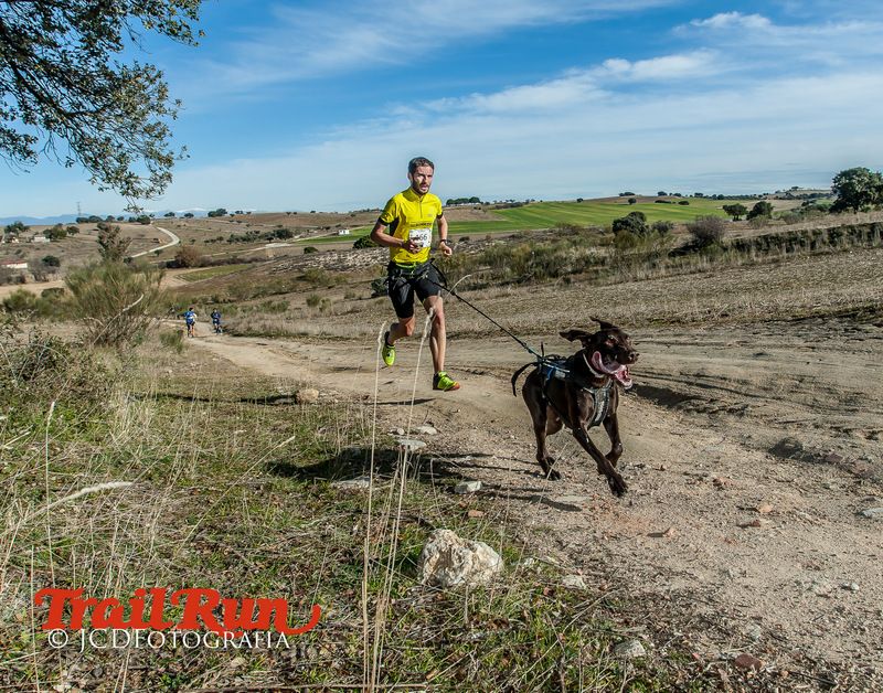 Campeonato de España de Mushing 2017