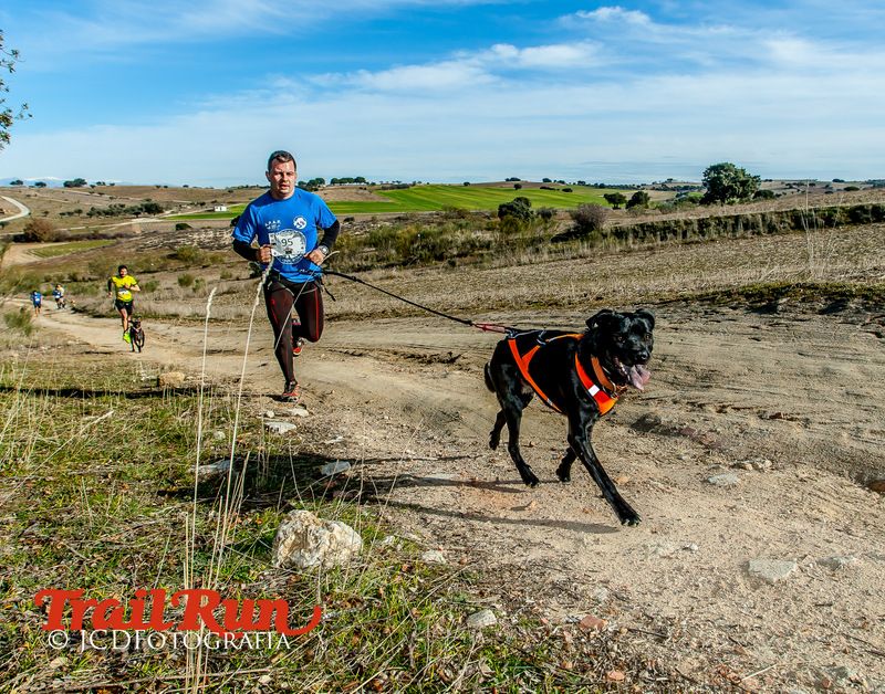 Campeonato de España de Mushing 2017