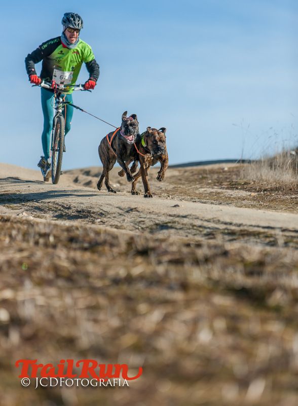 Campeonato de España de Mushing 2017
