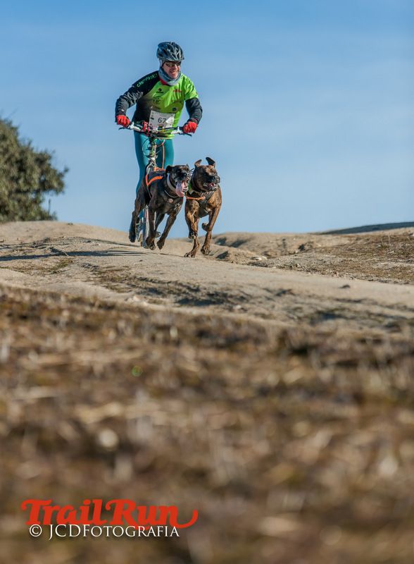 Campeonato de España de Mushing 2017