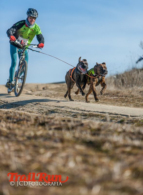 Campeonato de España de Mushing 2017