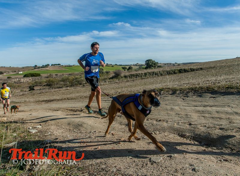 Campeonato de España de Mushing 2017