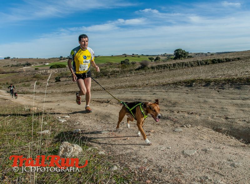 Campeonato de España de Mushing 2017