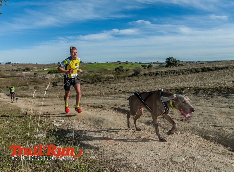 Campeonato de España de Mushing 2017