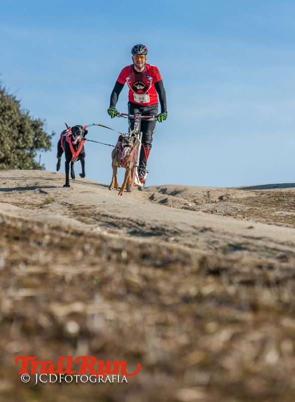 Campeonato de España de Mushing 2017