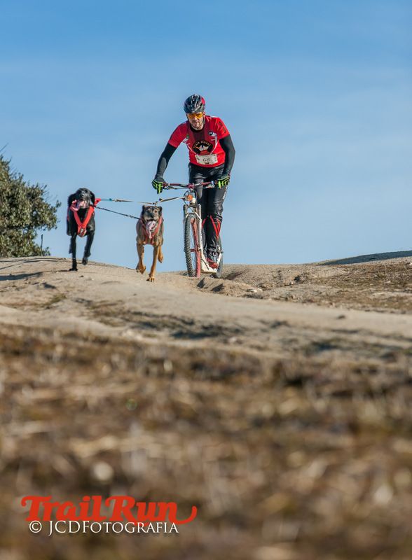 Campeonato de España de Mushing 2017