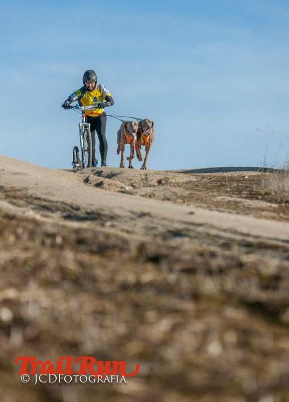 Campeonato de España de Mushing 2017
