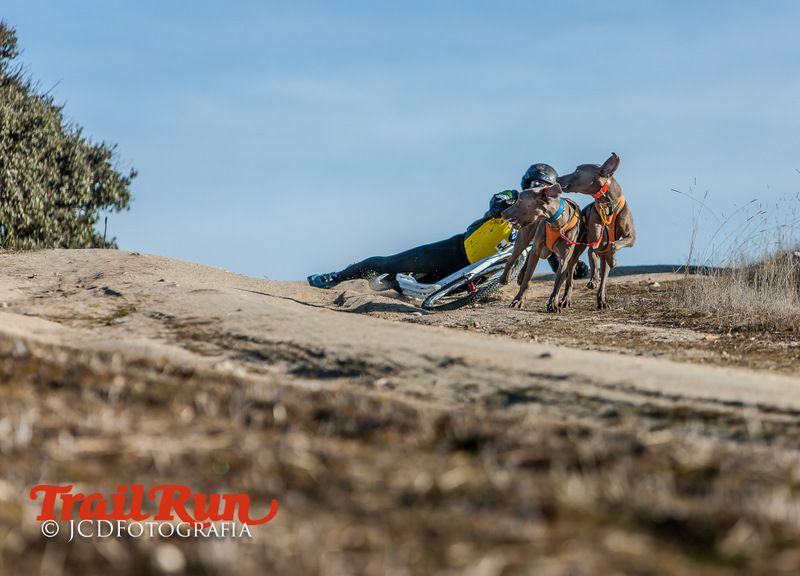 Campeonato de España de Mushing 2017