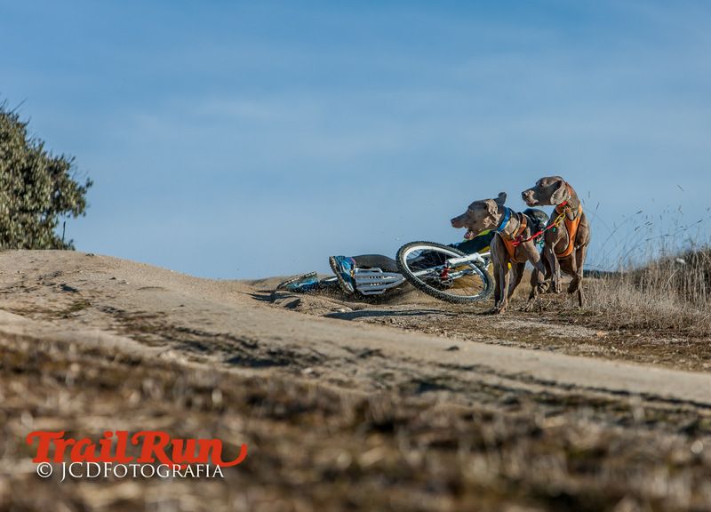 Campeonato de España de Mushing 2017
