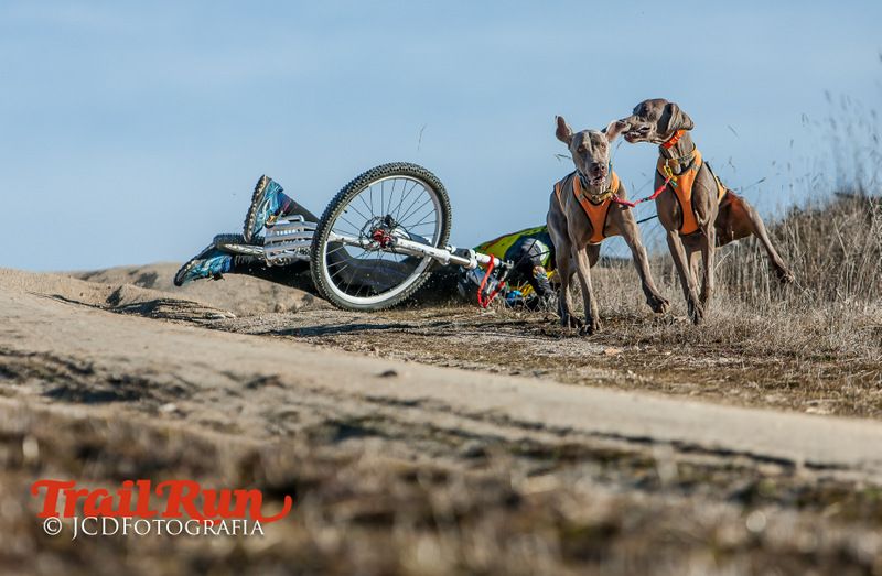 Campeonato de España de Mushing 2017