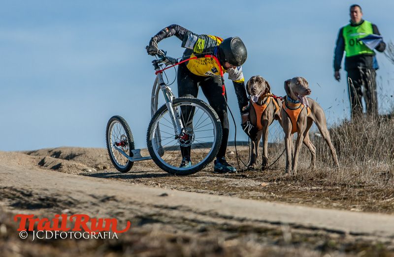 Campeonato de España de Mushing 2017