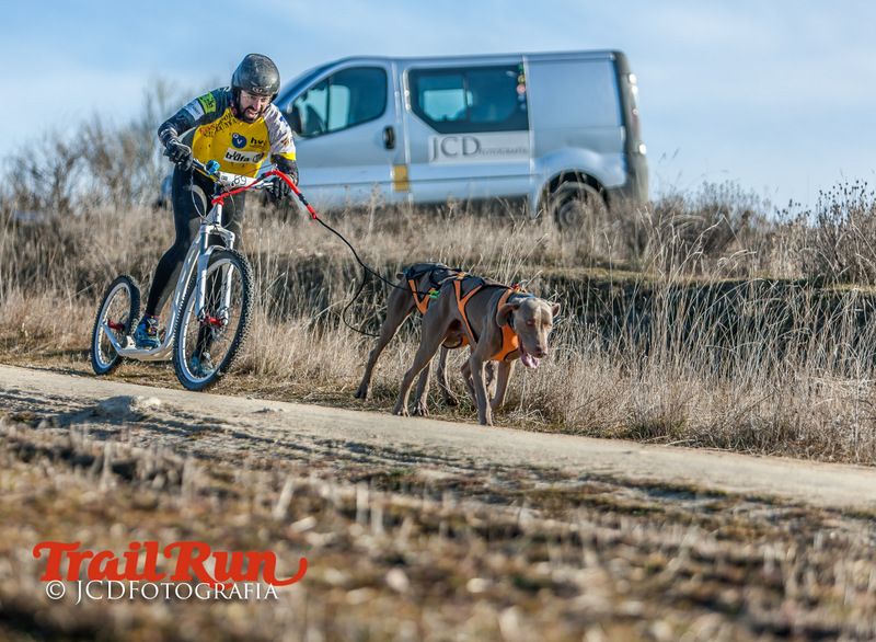 Campeonato de España de Mushing 2017