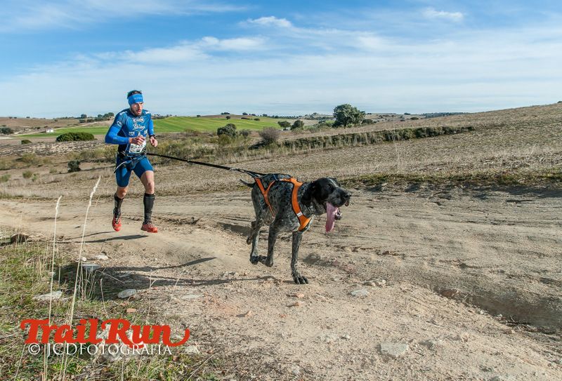 Campeonato de España de Mushing 2017