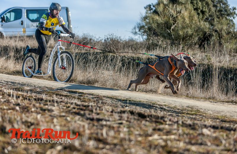 Campeonato de España de Mushing 2017