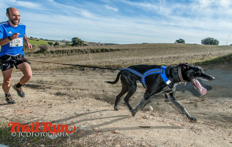 Campeonato de España de Mushing 2017