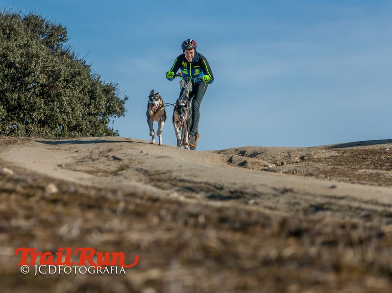 Campeonato de España de Mushing 2017