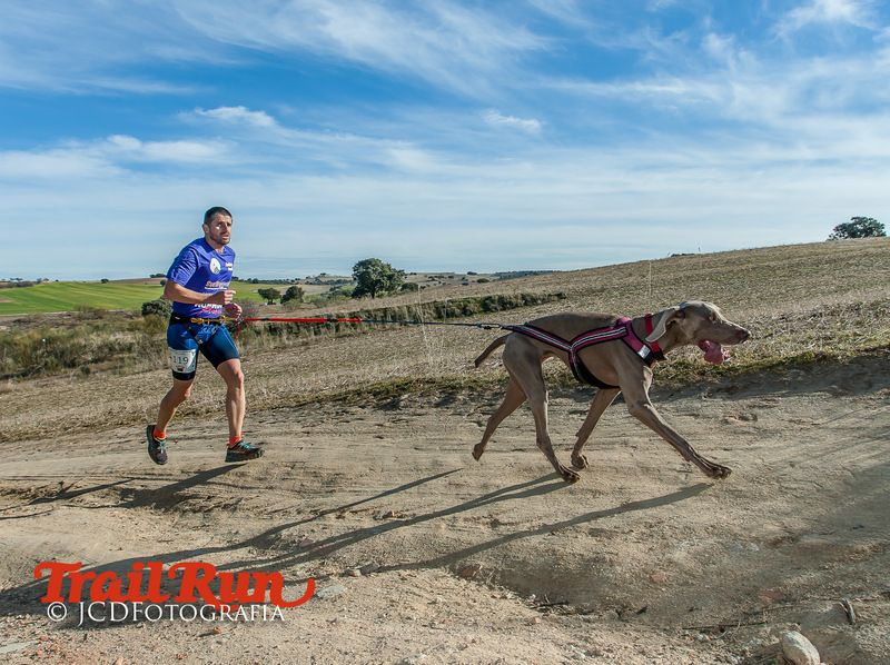 Campeonato de España de Mushing 2017
