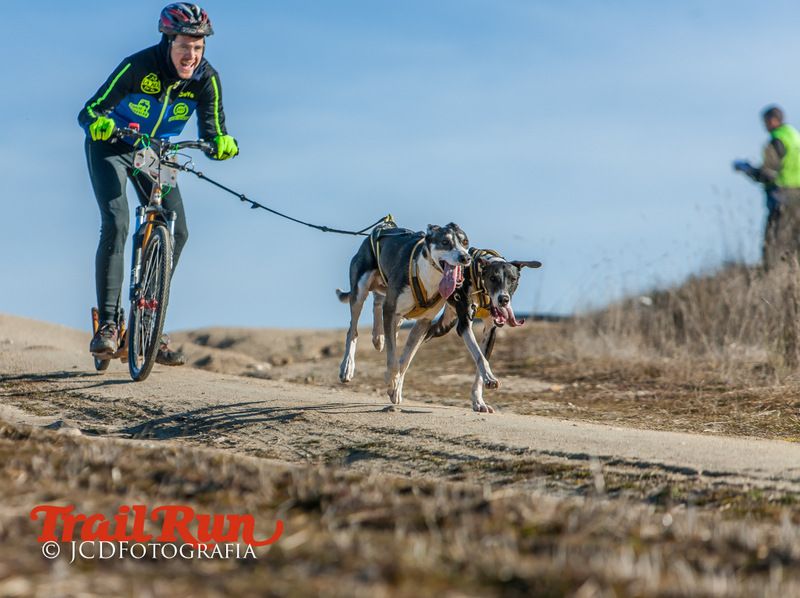 Campeonato de España de Mushing 2017