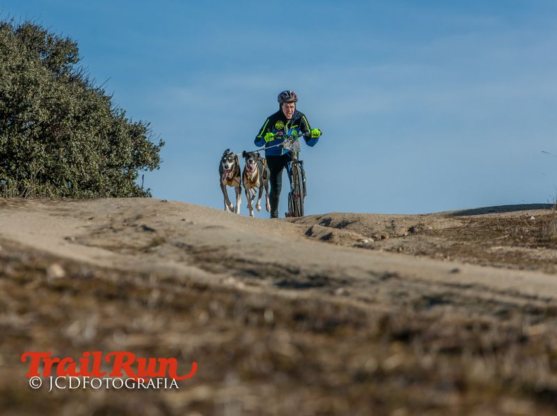 Campeonato de España de Mushing 2017