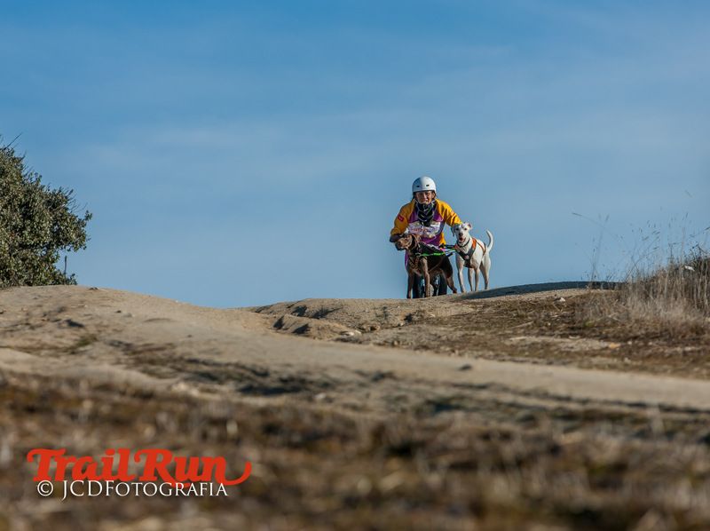 Campeonato de España de Mushing 2017