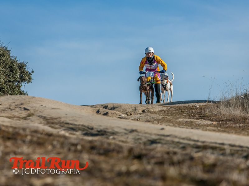 Campeonato de España de Mushing 2017