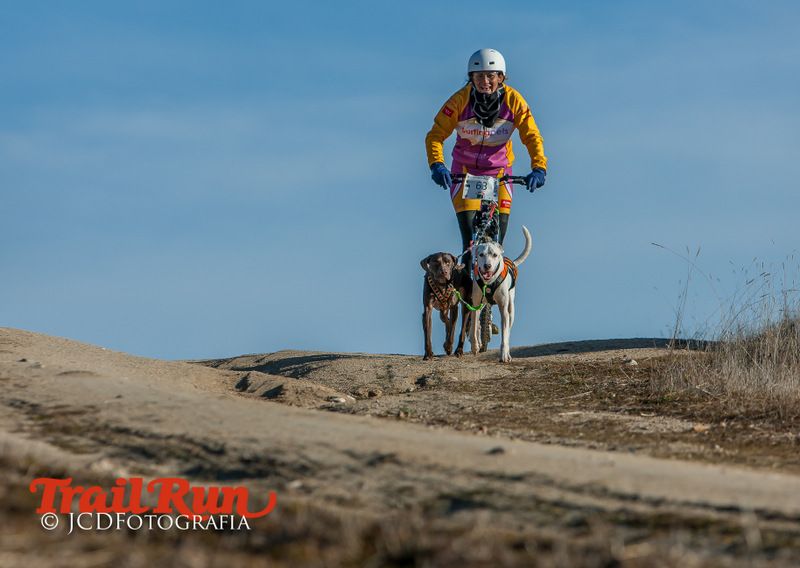 Campeonato de España de Mushing 2017