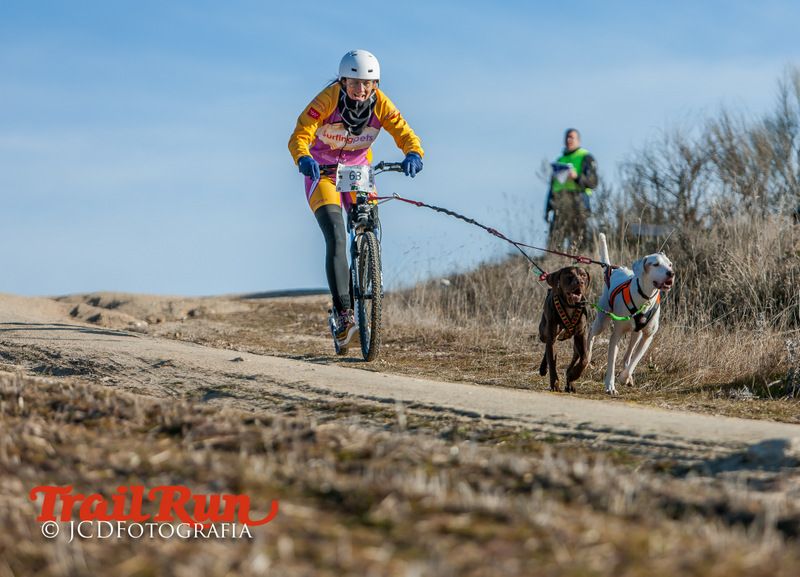 Campeonato de España de Mushing 2017
