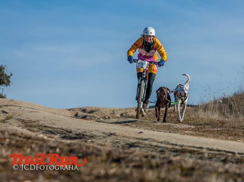Campeonato de España de Mushing 2017