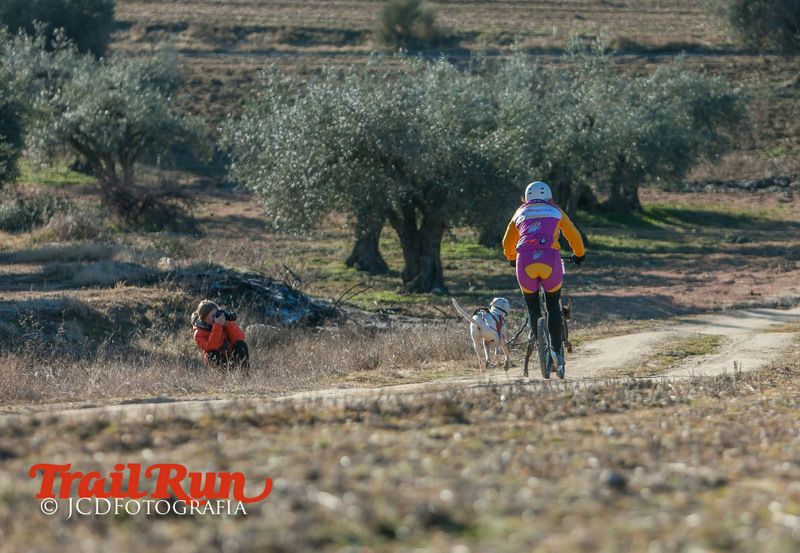 Campeonato de España de Mushing 2017