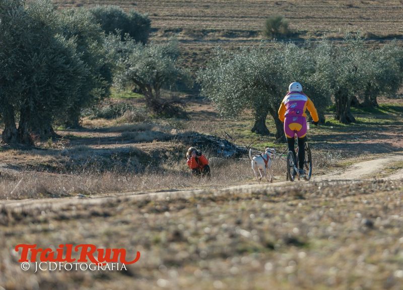 Campeonato de España de Mushing 2017