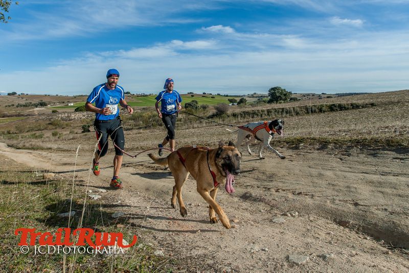 Campeonato de España de Mushing 2017