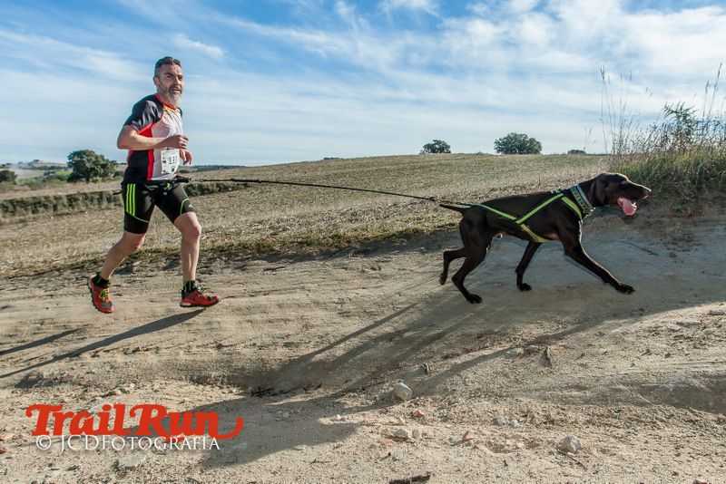 Campeonato de España de Mushing 2017