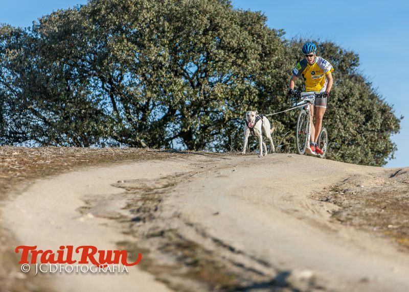 Campeonato de España de Mushing 2017