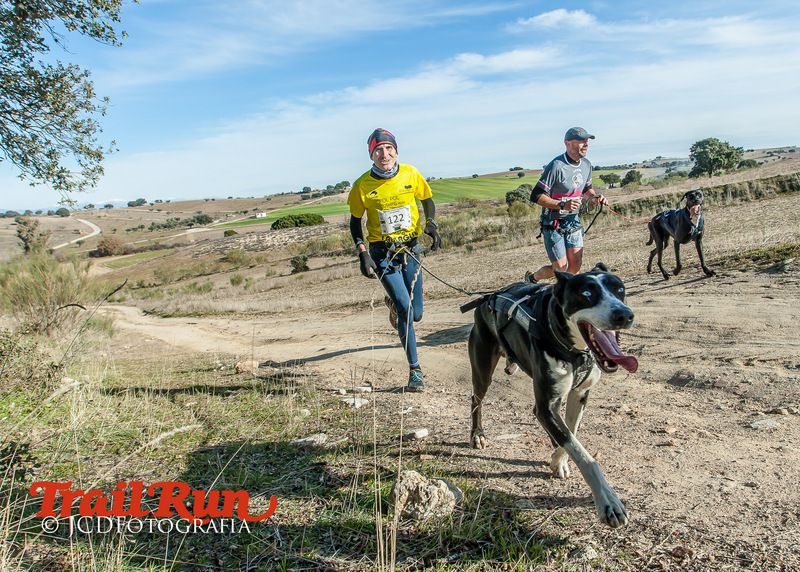 Campeonato de España de Mushing 2017