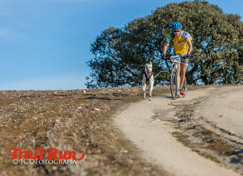 Campeonato de España de Mushing 2017