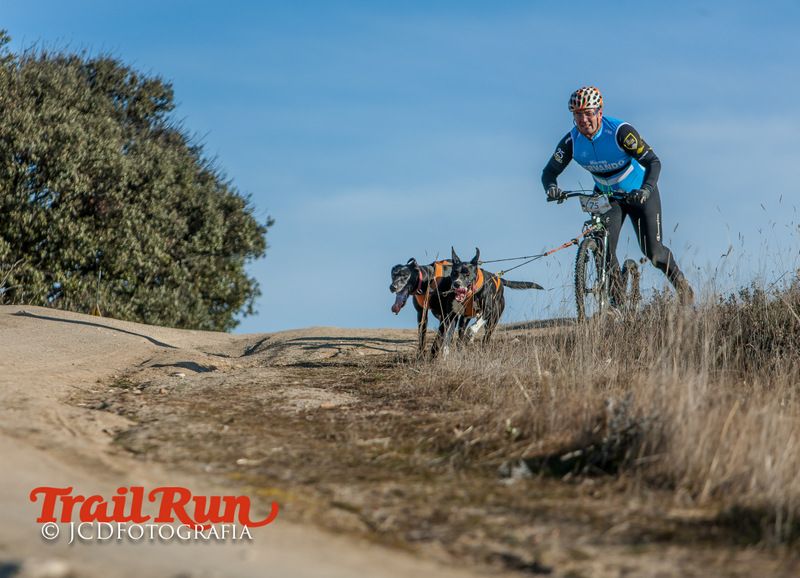 Campeonato de España de Mushing 2017