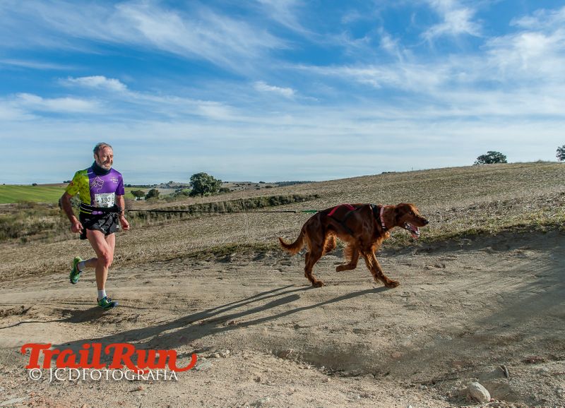 Campeonato de España de Mushing 2017