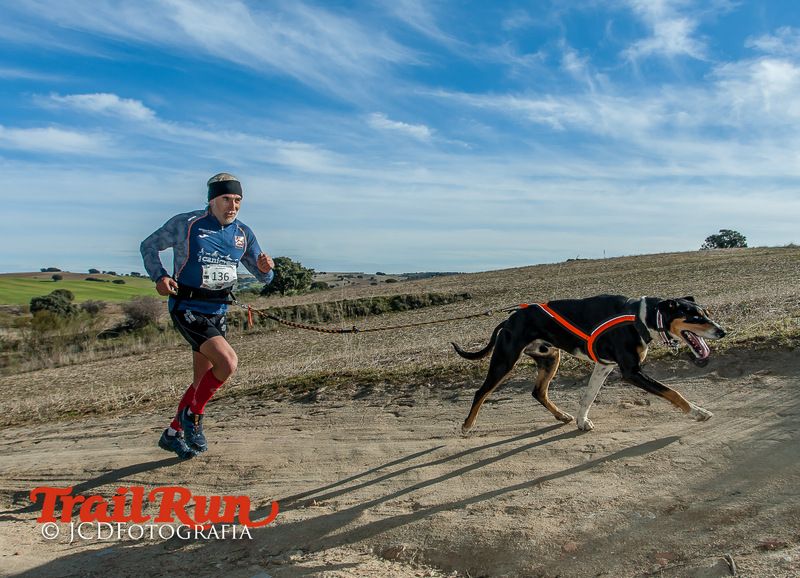Campeonato de España de Mushing 2017