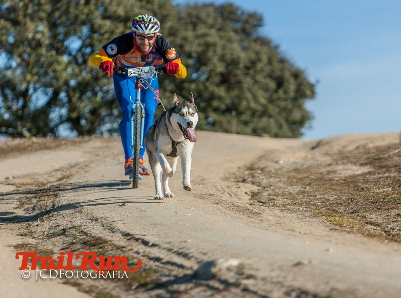 Campeonato de España de Mushing 2017