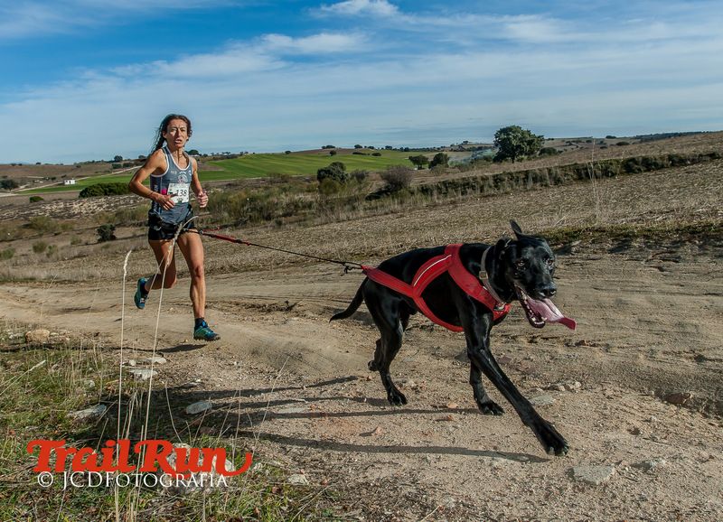 Campeonato de España de Mushing 2017