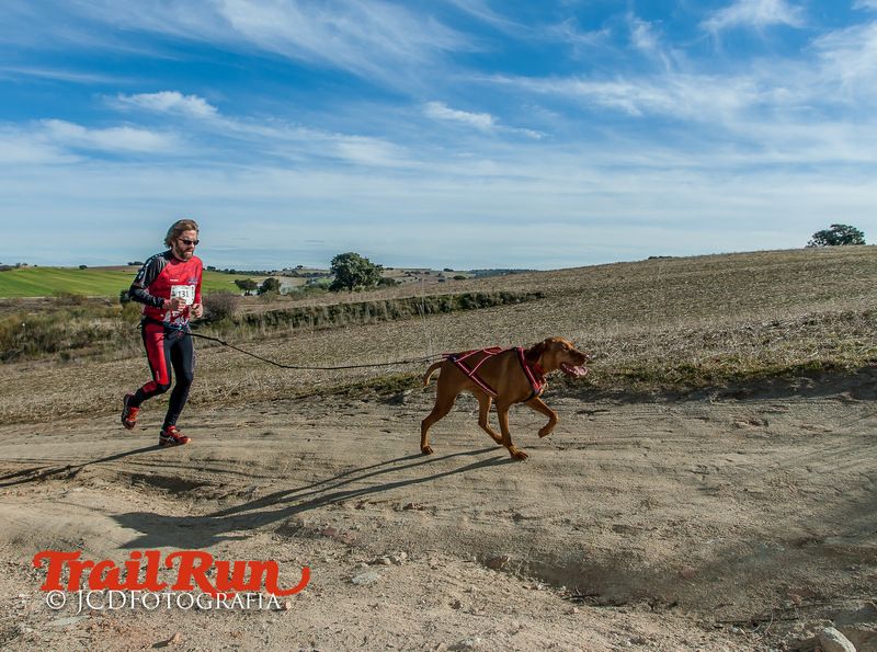 Campeonato de España de Mushing 2017