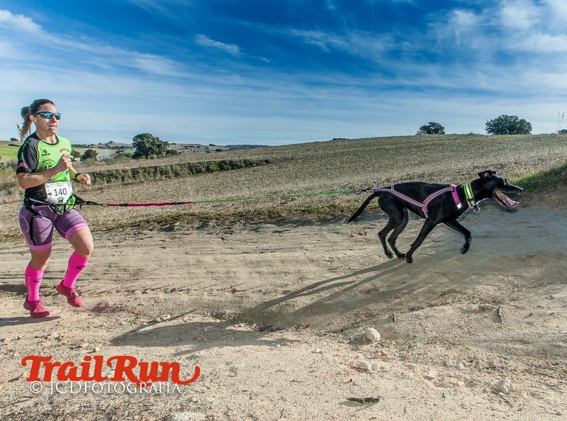 Campeonato de España de Mushing 2017
