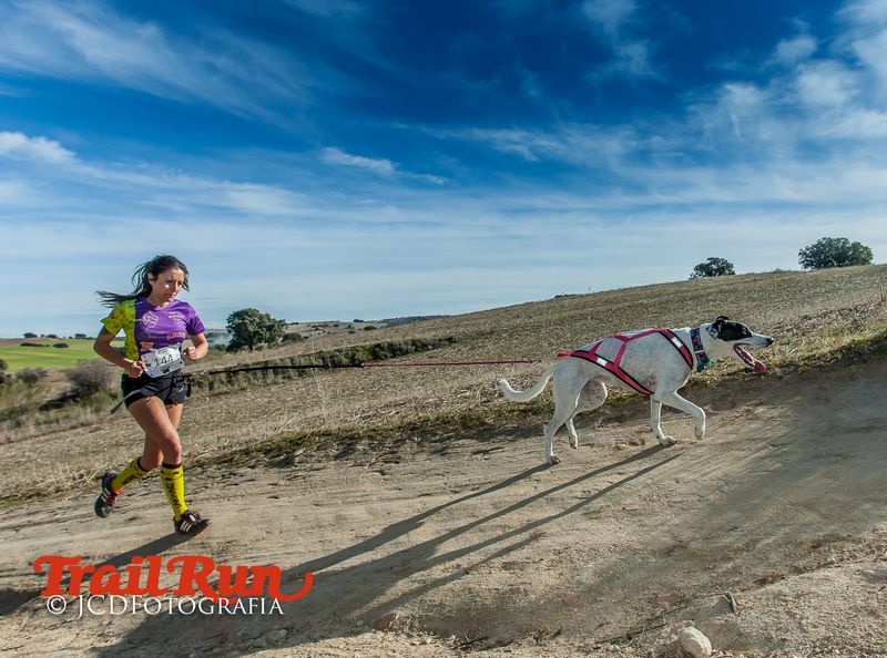 Campeonato de España de Mushing 2017