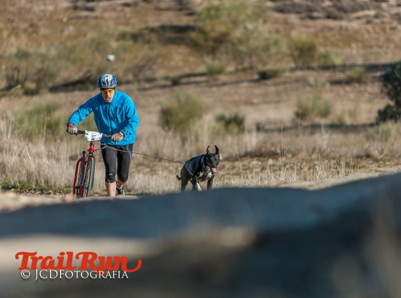 Campeonato de España de Mushing 2017