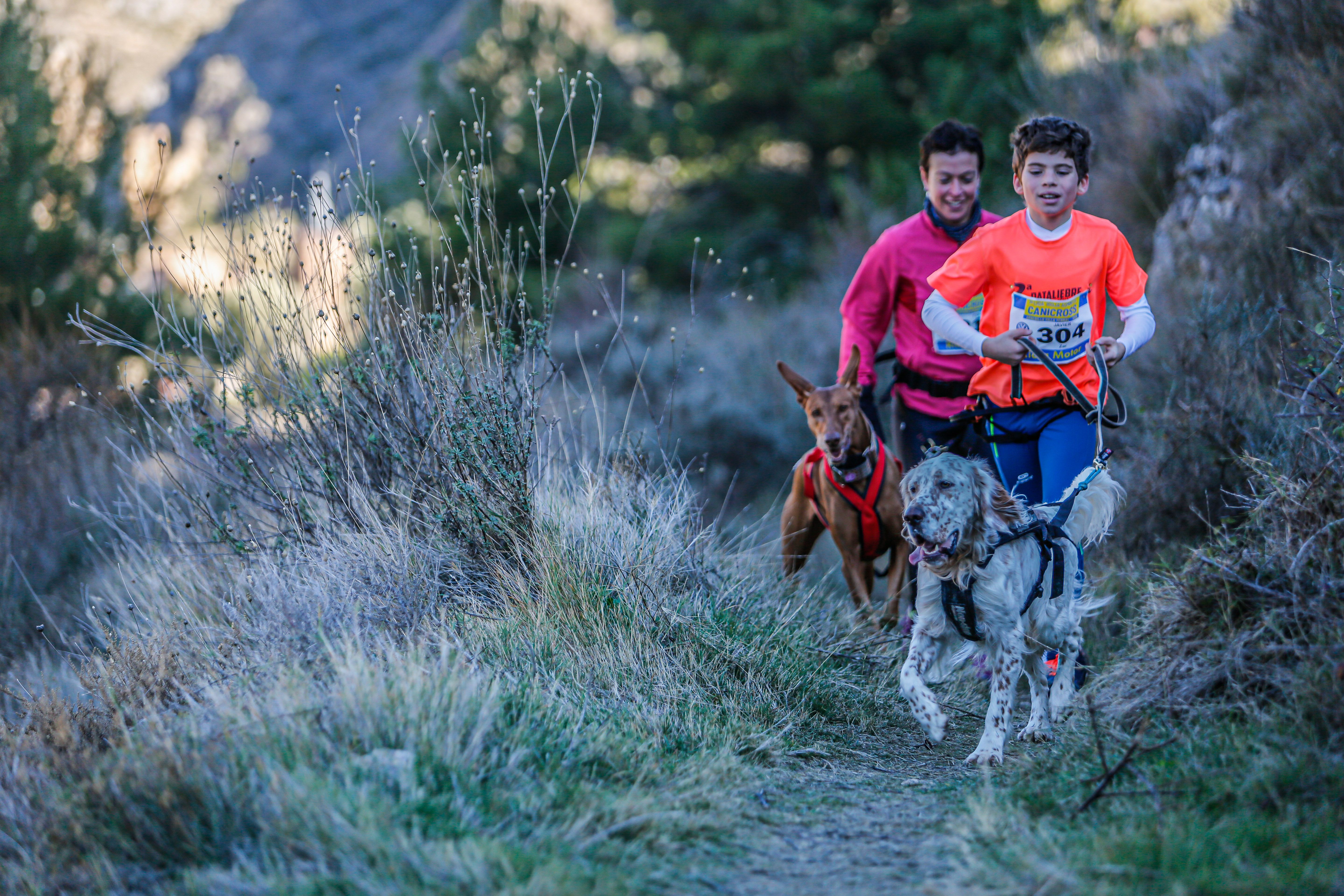 Canicross Arnedillo 2019 ©JCDfotografía