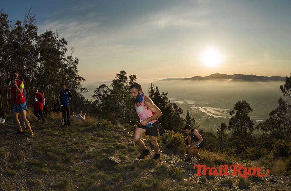 Galería de fotos - Camovi 2017