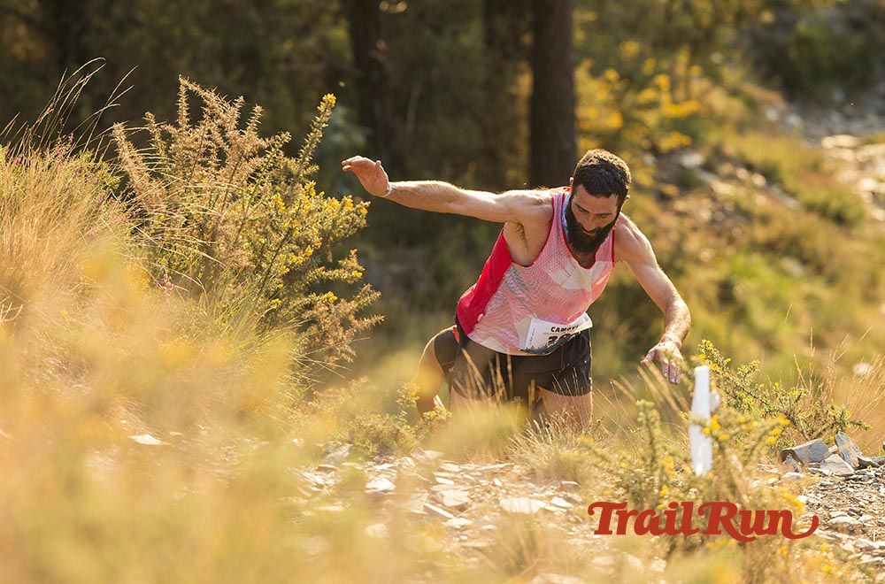 Galería de fotos - Camovi 2017