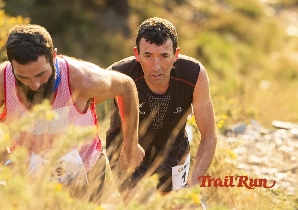 Galería de fotos - Camovi 2017